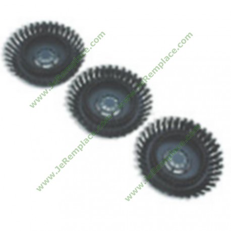 Brosses - pinceaux de soies-