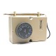 Thermostat ambiance -35 à +35 degrés sonde sur boitier