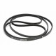 Courroie plate 1810 J3 481935818131 pour sèche linge