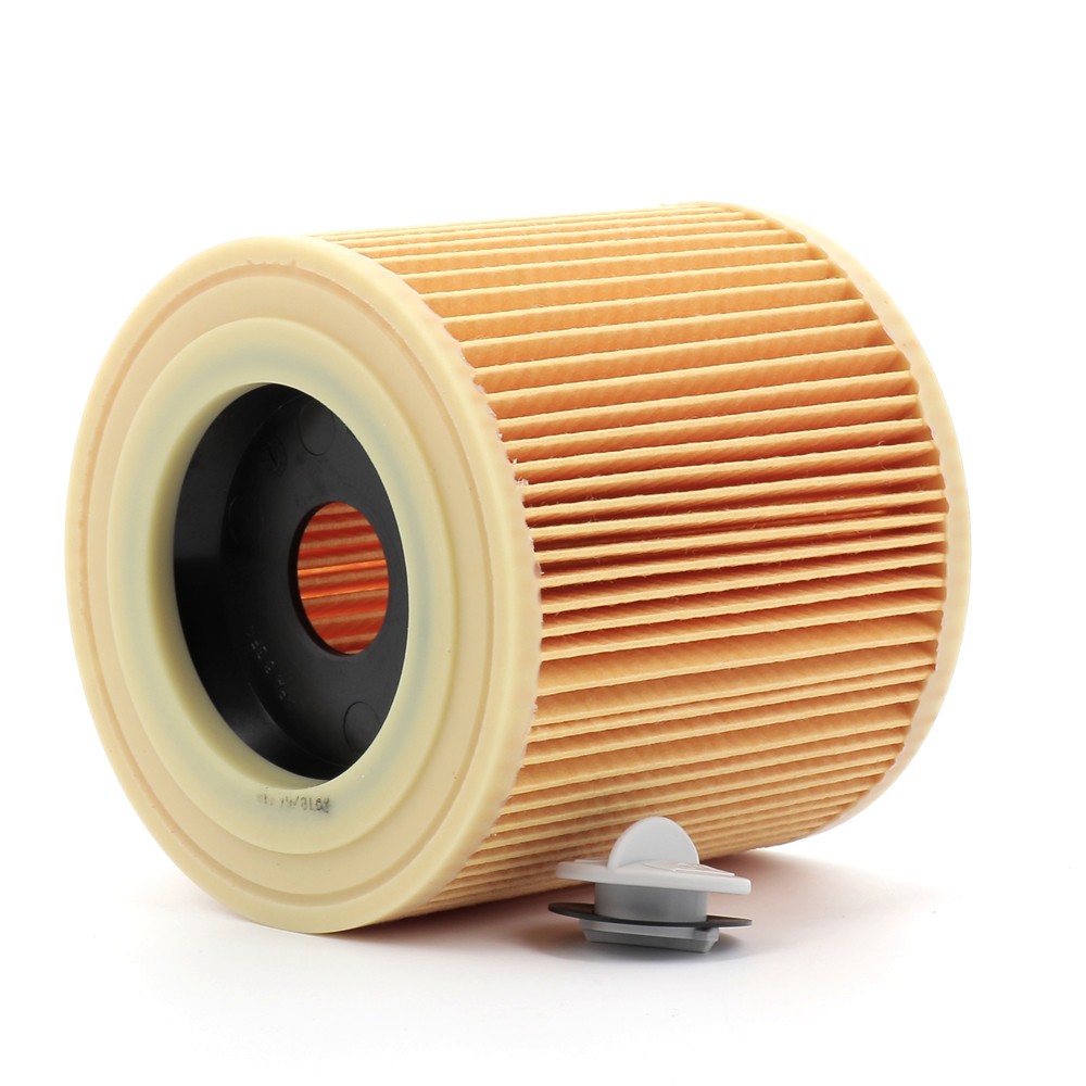REYEE Filtro HEPA Per Aspirapolvere Kärcher DS 5500 E DS 5600 - Ricambio Filtro Protezione Motore (6.414-824 / 631.0) - Cattura Allergeni E Polveri Sottili