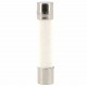 Fusible 16 A four micro onde 6x32