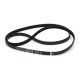 Courroie plate 1255 j5 el 00360829 pour lave linge