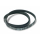 Courroie plate 1233 J5 mael 92130442 pour lave linge