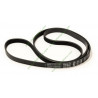 Courroie plate 1238 H7 EL 481235818189 pour lave linge