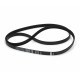 Courroie plate 1252 J5 EL 00439490 pour lave linge
