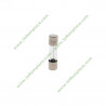Fusible céramique temporisé 5X20 10 Ampères 481925228125 micro ondes