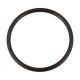 Bague 21x1.5 d'étanchéité 6.363-536.0 de nettoyeur Karcher